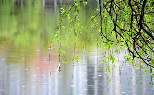 雨季的建筑守護 —— 吉成建筑裝飾的產(chǎn)品在雨季的應用實踐